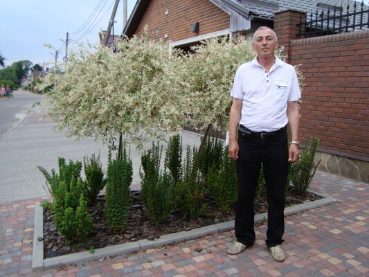  ,   , 65 ,   ,   , c 