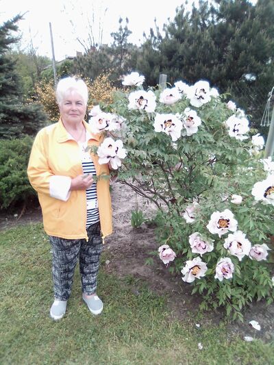  ,   Teresa, 74 ,   ,   , c 