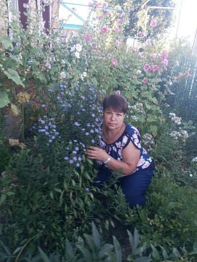  ,   , 54 ,   