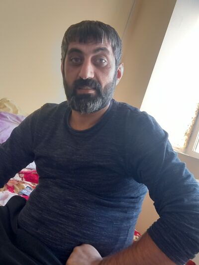  -,   HOVO, 40 ,   ,   