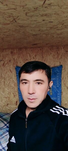  ,   Boss, 40 ,   ,   