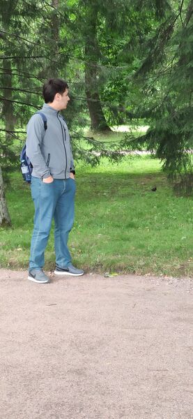  -,   , 28 ,   ,   