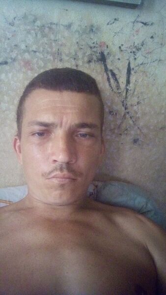  ,   Tolik, 31 ,   ,   