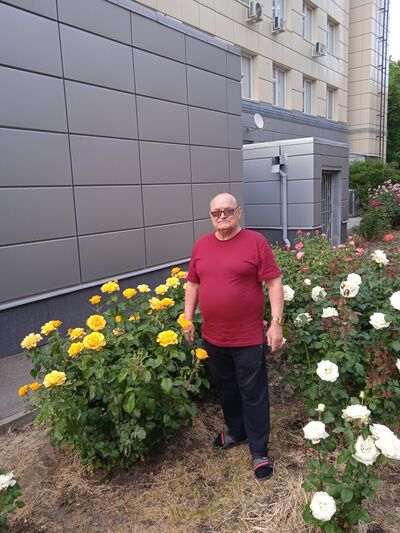  ,   Vladimir, 64 ,   ,   