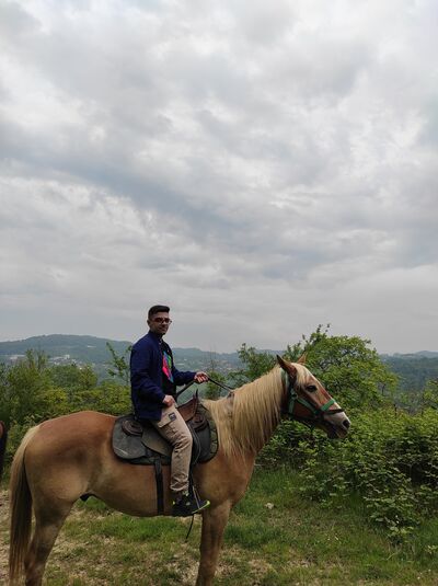  ,   , 29 ,   ,   , c , 