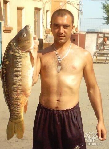 ,   Konstantin, 50 ,   ,   , c 