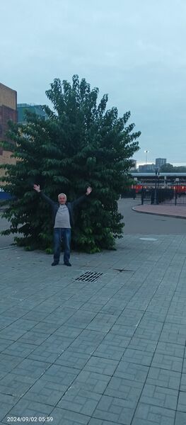  ,   , 56 ,   ,   