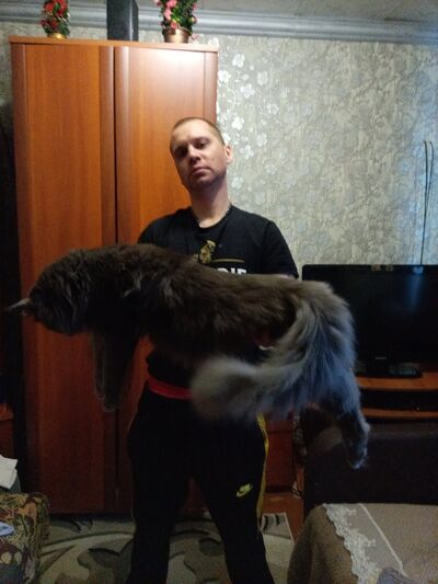  ,   , 36 ,   c 