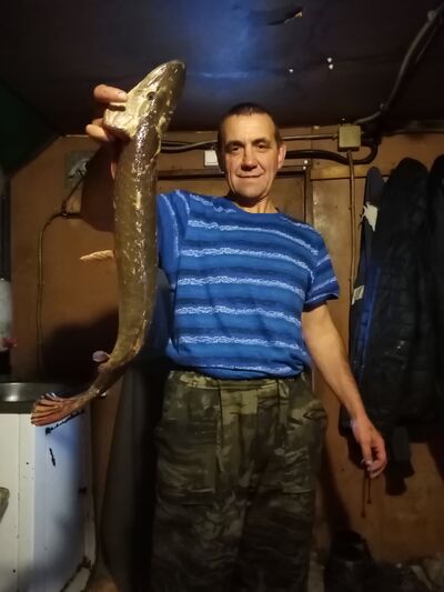  ,   , 52 ,   c 