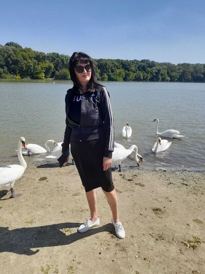  ,   , 44 ,   ,   , 