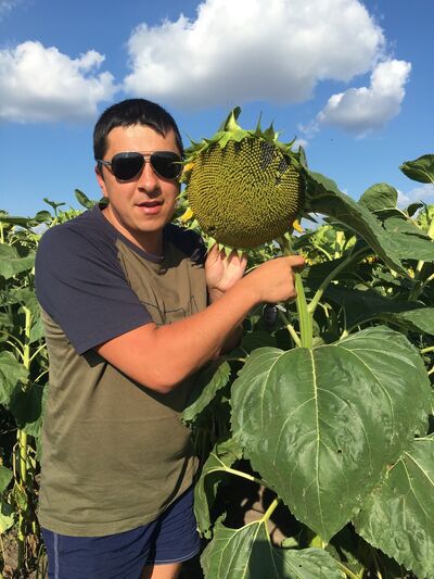 ���������� ����, ���� ������� �����, 44 ����, ������������ ��� ������, ����� � ���������, c�������� ���������