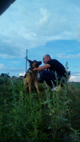  -,   , 38 ,   ,   , c 