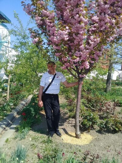  ,   , 46 ,   