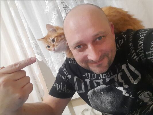  --,   , 46 ,   ,   