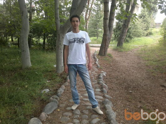  ,   Bzzz, 34 ,   ,   , c 