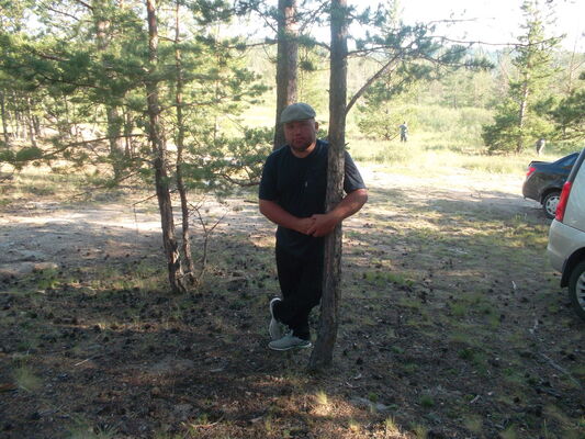  -,   , 49 ,  