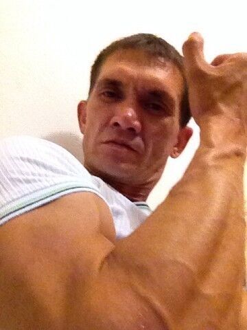  ,   , 46 ,   