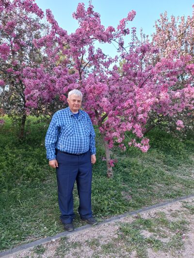 ,   Igor, 65 ,   ,   , c , 