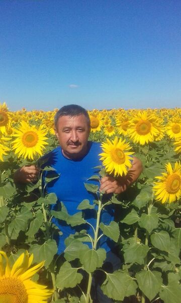 ,   , 55 ,   ,   
