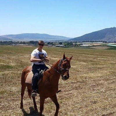  Ashqelon,   Antonmelamed, 40 ,   ,   , c 