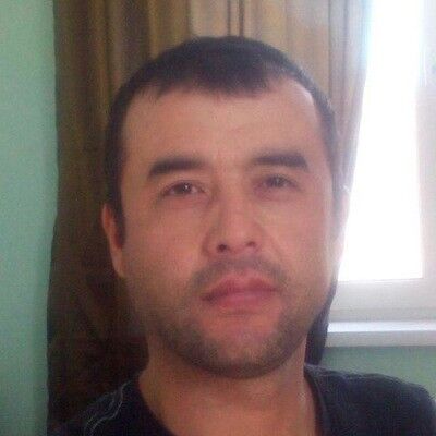  8132169  , 44 ,    -