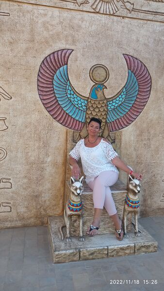 ,   Fly, 55 ,   c 