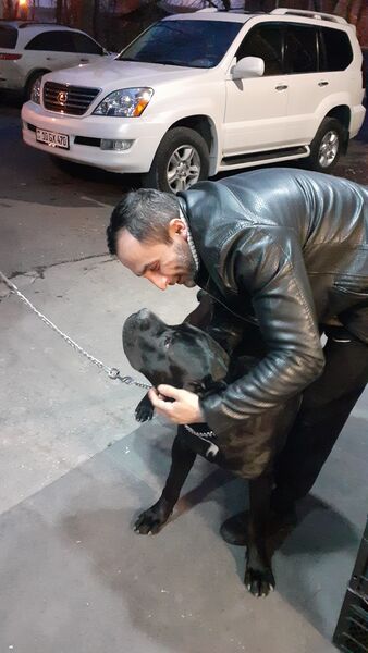  ,   Aro, 33 ,   ,   , 