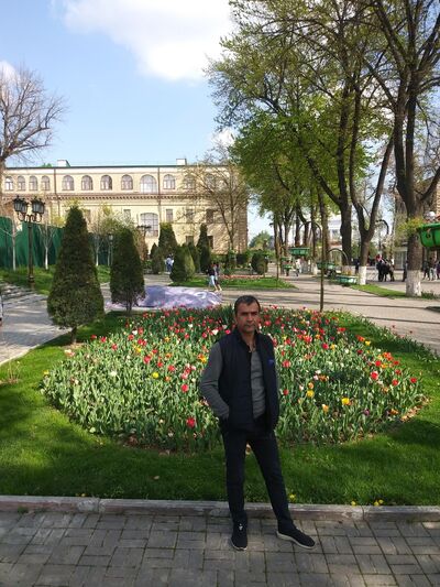  ,   Xashim, 40 ,   ,   , c 