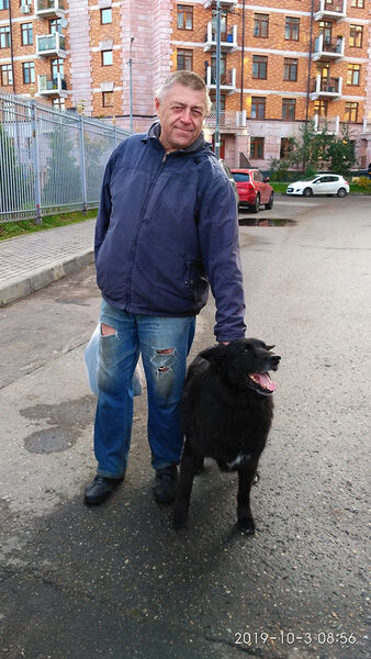  ,   Pol, 66 ,   ,   , c 