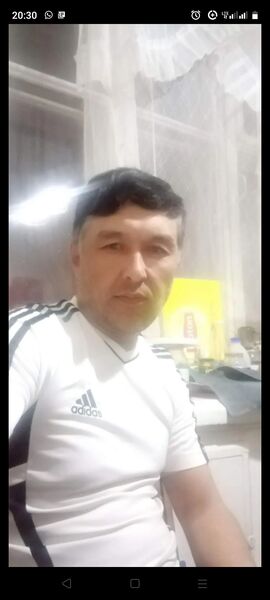  --,   , 43 ,   ,   