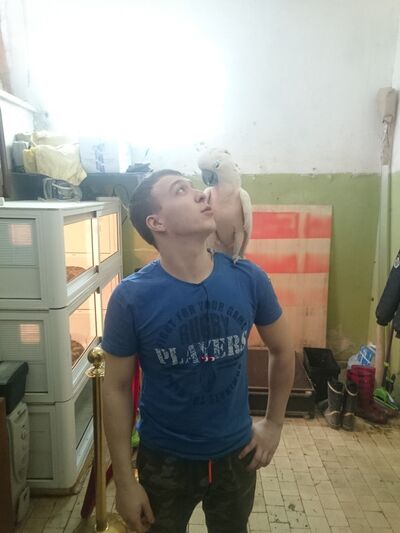  -,   , 28 ,   