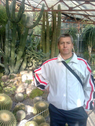  ,   , 58 ,  