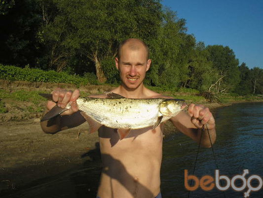 ���������� �����, ���� ������� ������, 46 ���, ������������ ��� ������