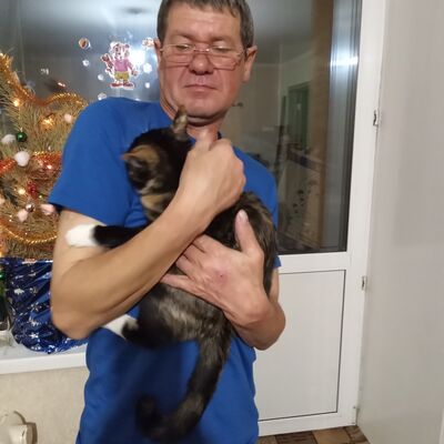  ,   , 55 ,   ,   , c , 