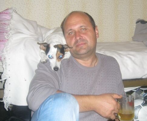  ,     , 54 ,  
