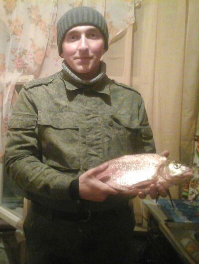  ,   GYNi, 33 ,   