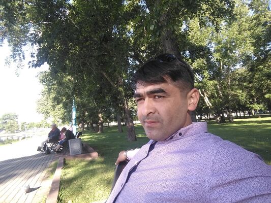  ,    , 34 ,  