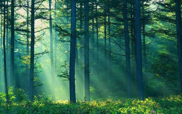  ,   Gennadij, 46 ,   ,   , c 