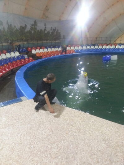 ,   Konstantin, 42 ,   ,   