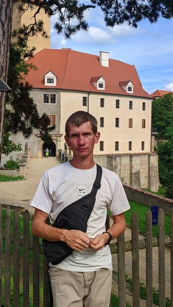  ,   Art, 29 ,   ,   
