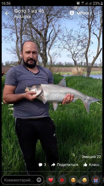  ,   Davyd, 46 ,   ,   , 