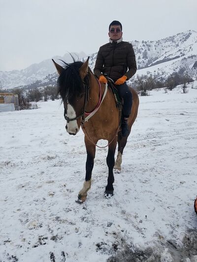 ���������� �����, ���� ������� Malik, 30 ���, ������������ ��� c�������� ���������