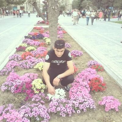  ,   Sahib, 31 ,   ,   , c 