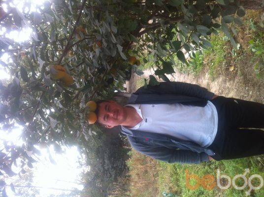  3644089  Profila net, 36 ,    