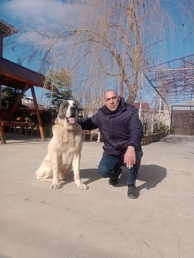 ,   Zaur, 43 ,   ,   
