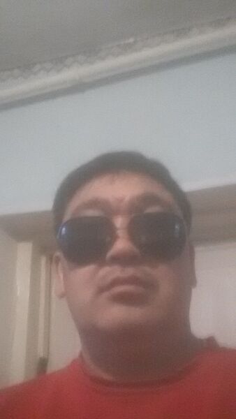  -,   Erbol, 51 ,   ,   , c 