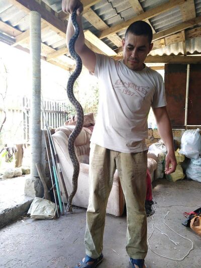  ,   Igor, 47 ,     , c 