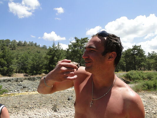  ,   , 50 ,   ,   , c 