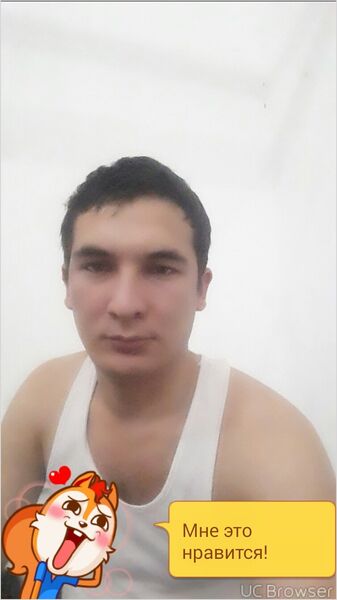 ,   901892377, 38 ,   