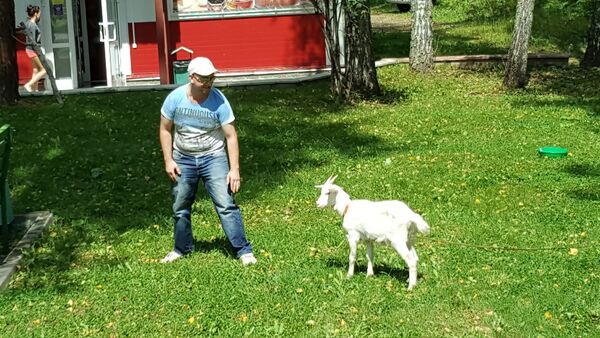  ,   Adam, 43 ,   ,   